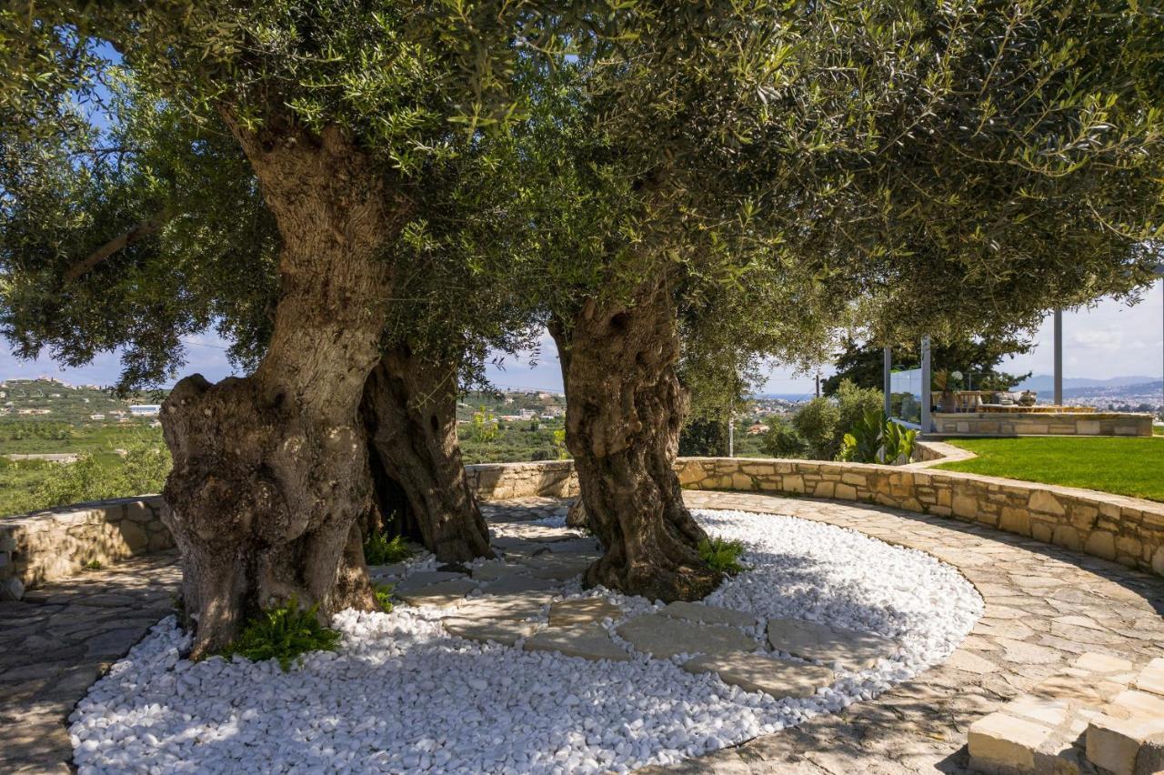 Olivenest Chania Executive Villa Perivólia Dış mekan fotoğraf